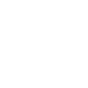 48pg icon